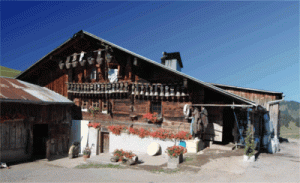 Chalet cerca a Chateau-d'Oex y L'Etivaz