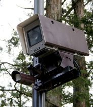 Foto cortesía de Brad Beattie via Wikipedia