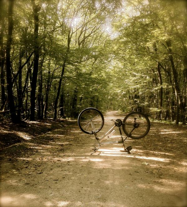 Hiding at the Bois de mouilles