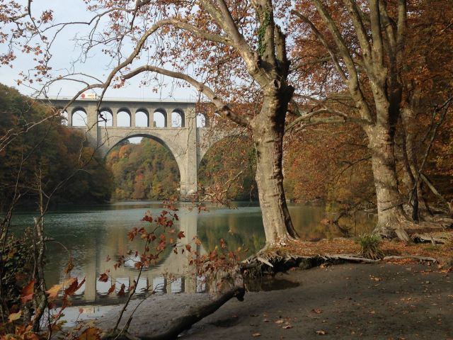 All roads lead to roam