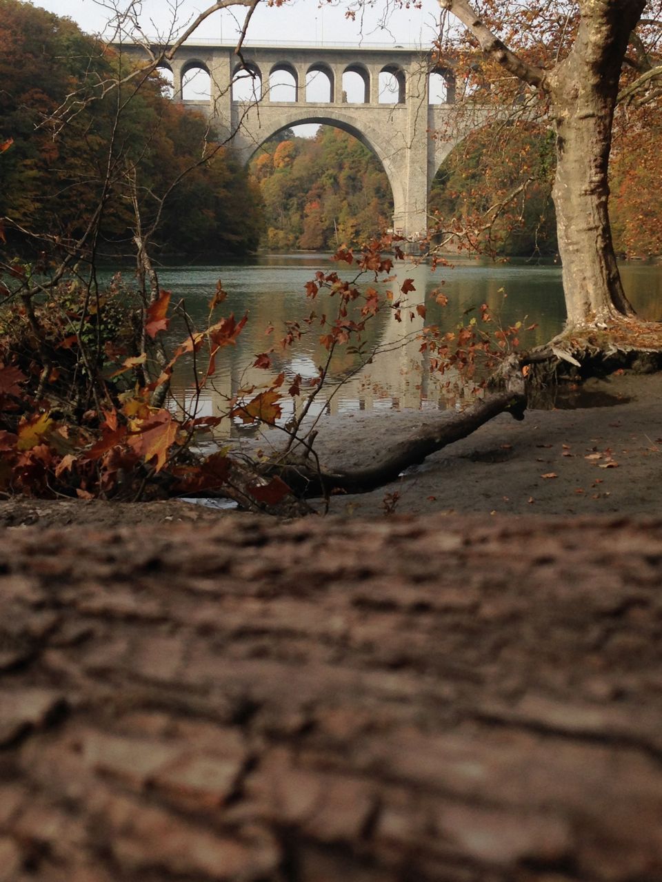 Featured Image -- 13437