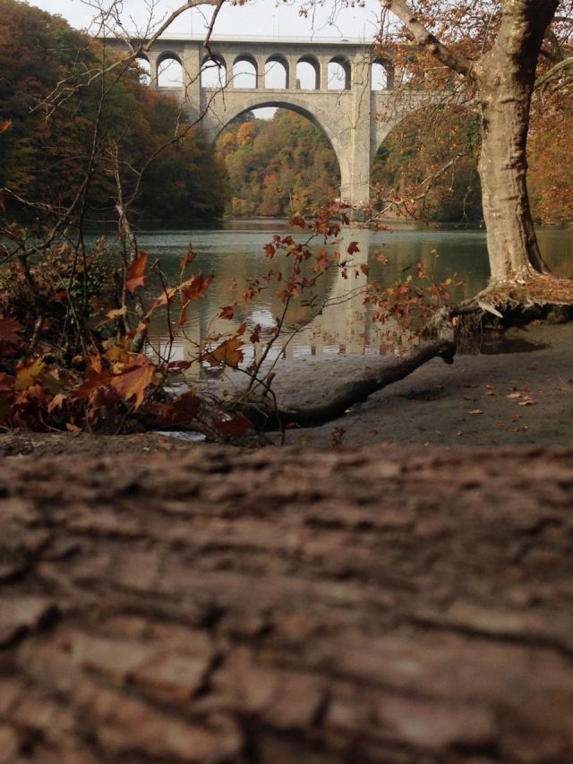 Koda: RhÃ´ne dreams